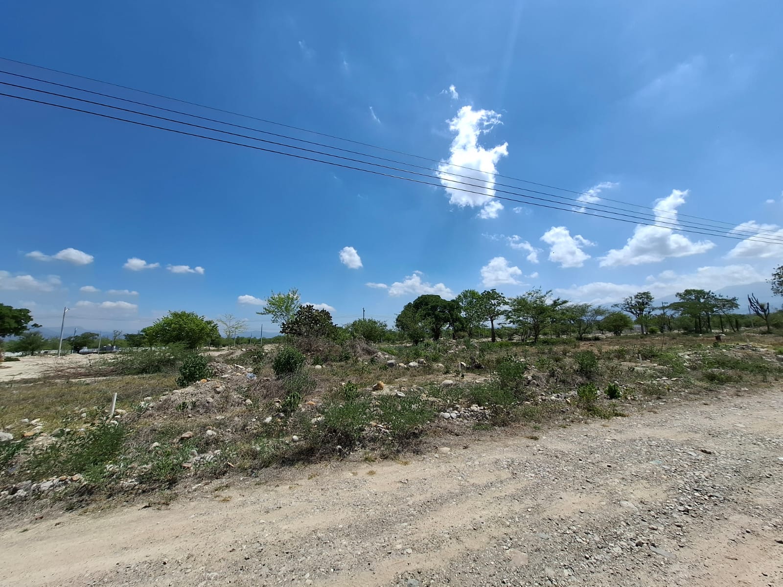 Subastas & Remates Honduras