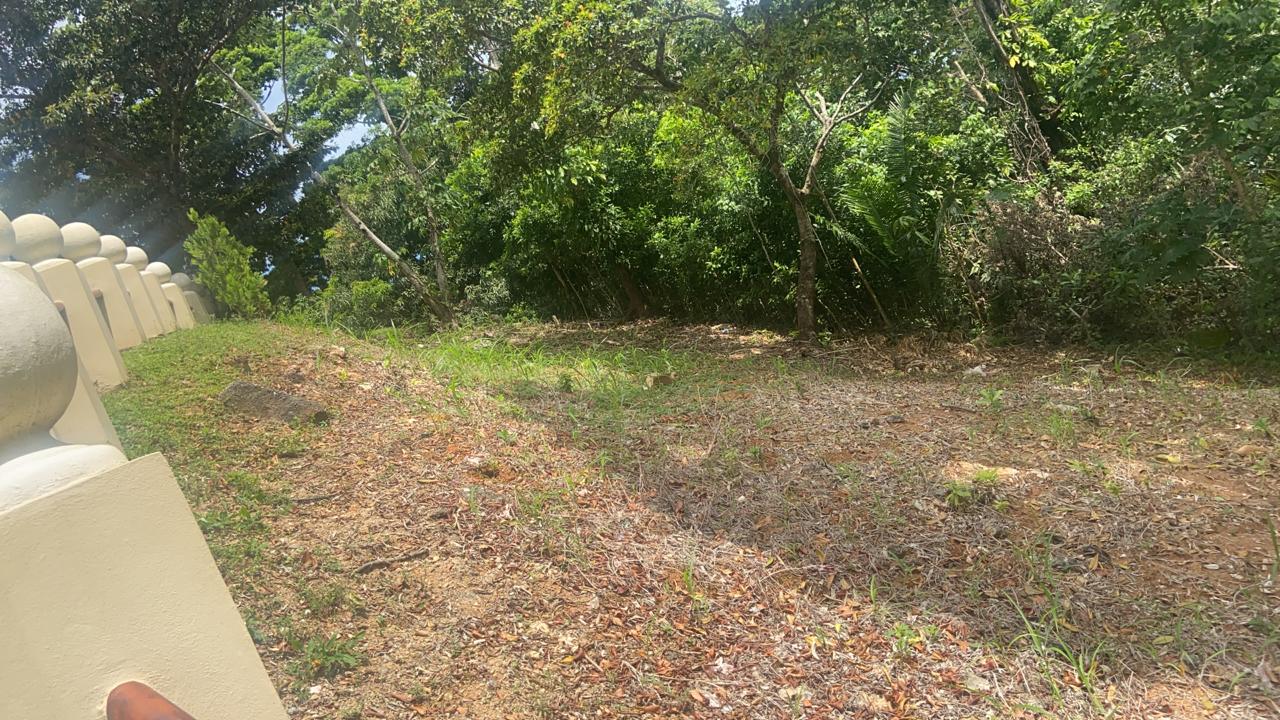 TELA, ATLANTIDA