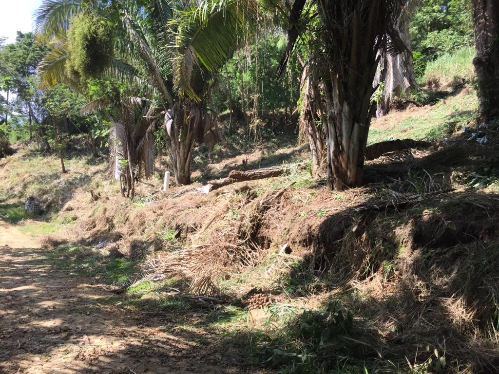Remate terreno en Islas de la bahia