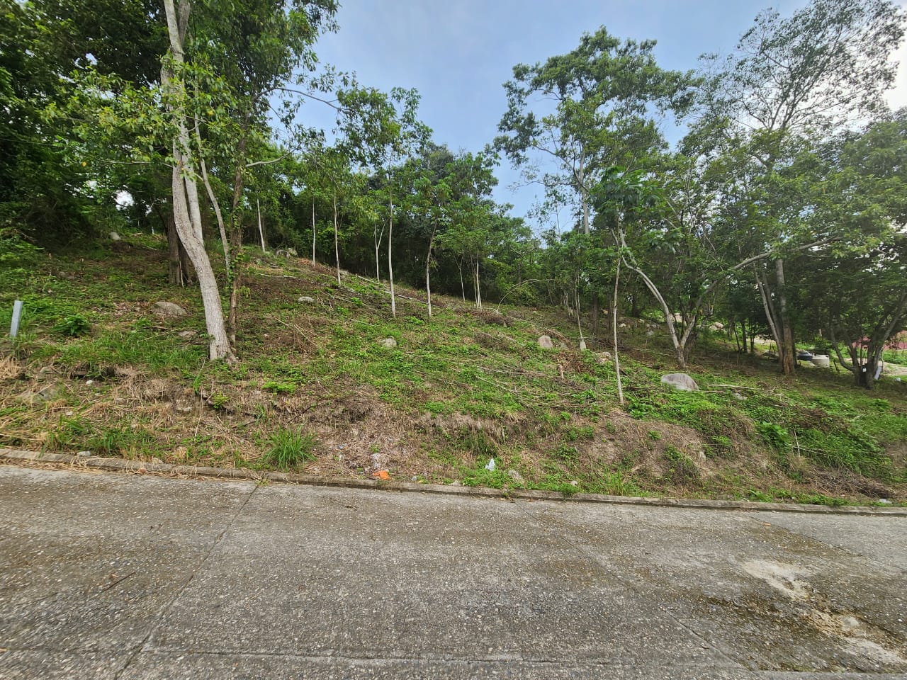 San Pedro Sula