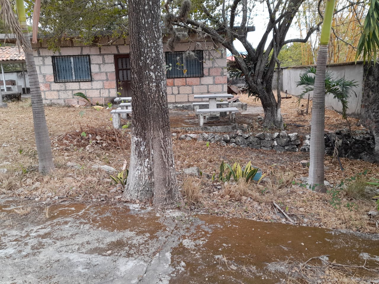 Remate Terreno de Comayagua