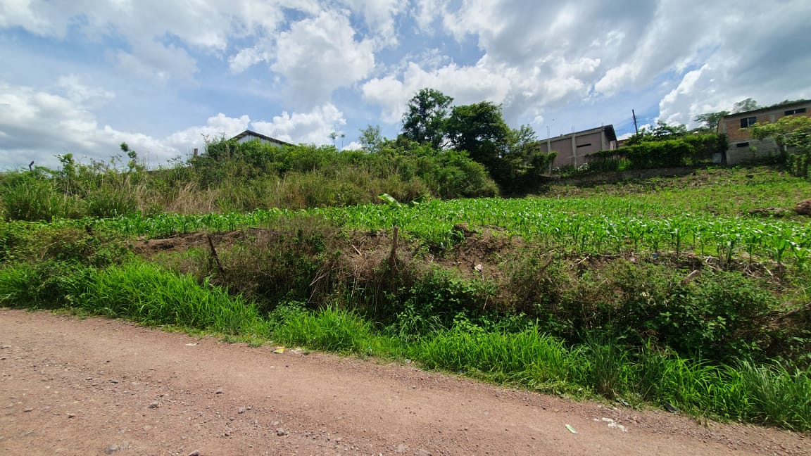 TEGUCIGALPA, FRANCISCO MORAZAN