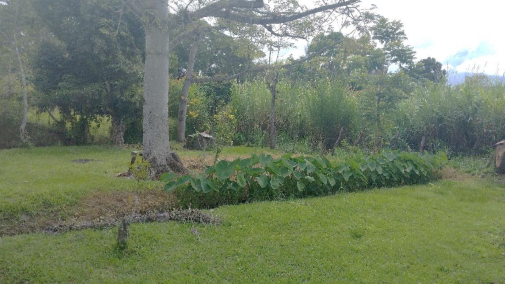 TEGUCIGALPA, FRANCISCO MORAZAN