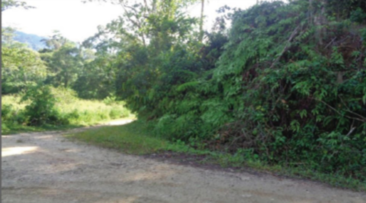 SANTA BÁRBARA