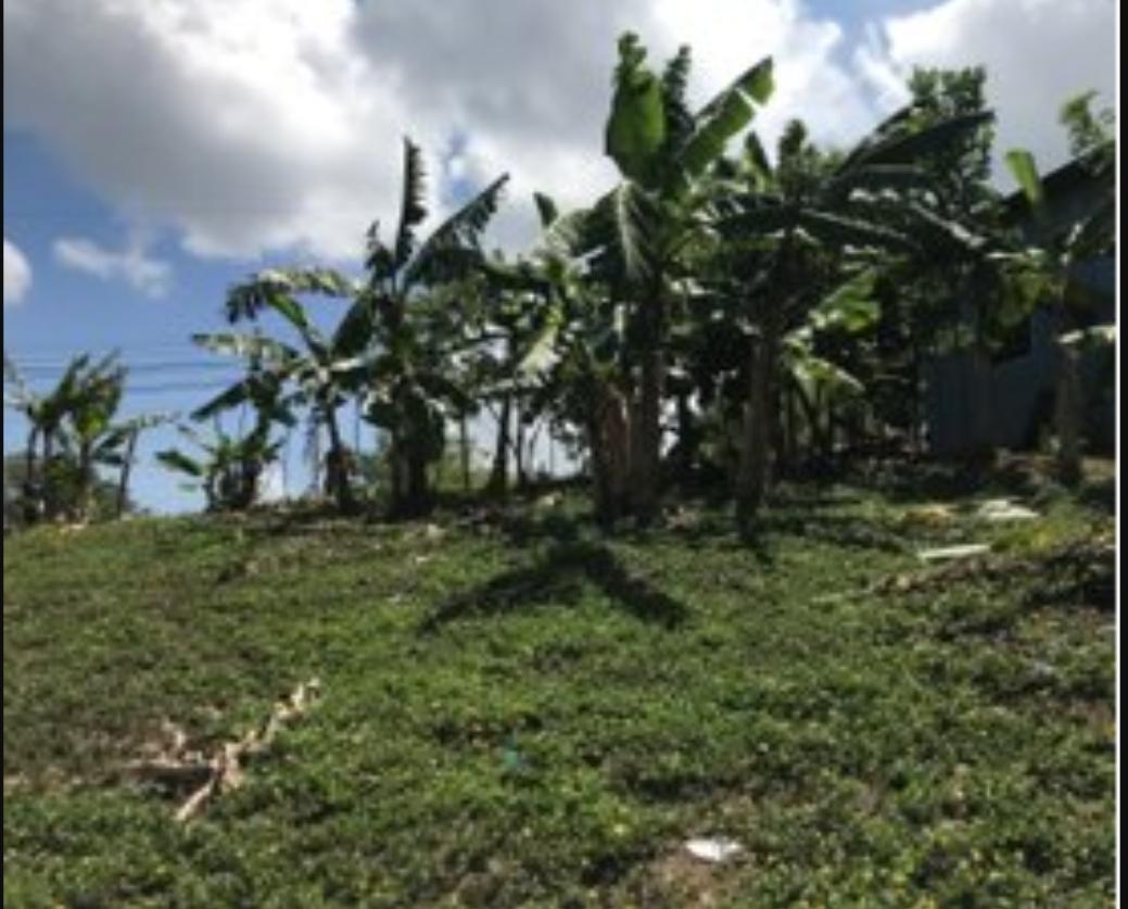 La Ceiba, Atlántida terreno en venta colonia Ramón Antonio leva