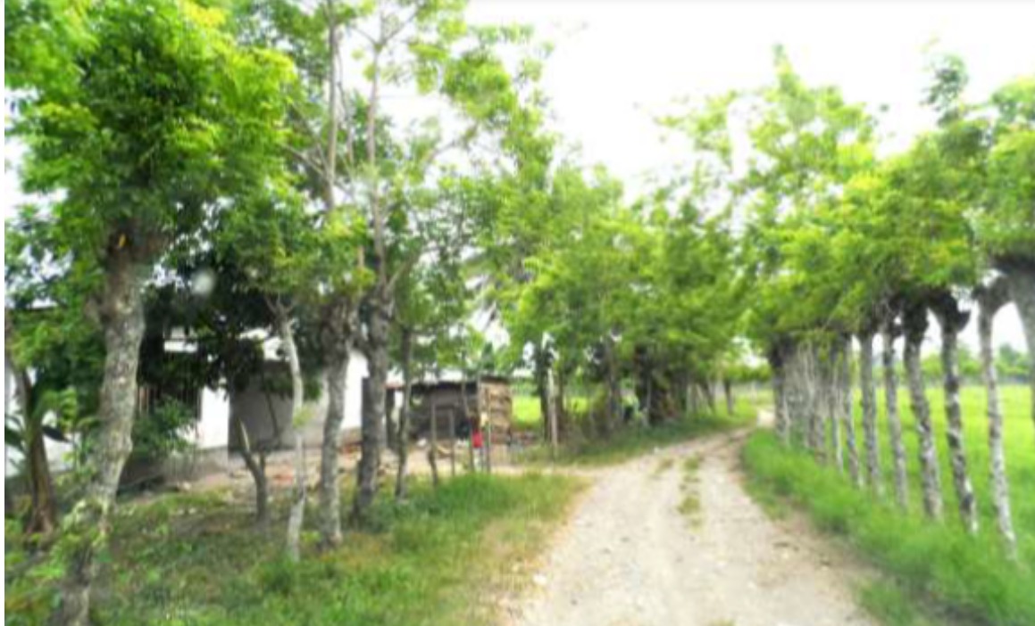 LA CEIBA, ATLANTIDA