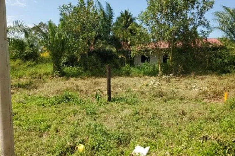 LA CEIBA, ATLÁNTIDA