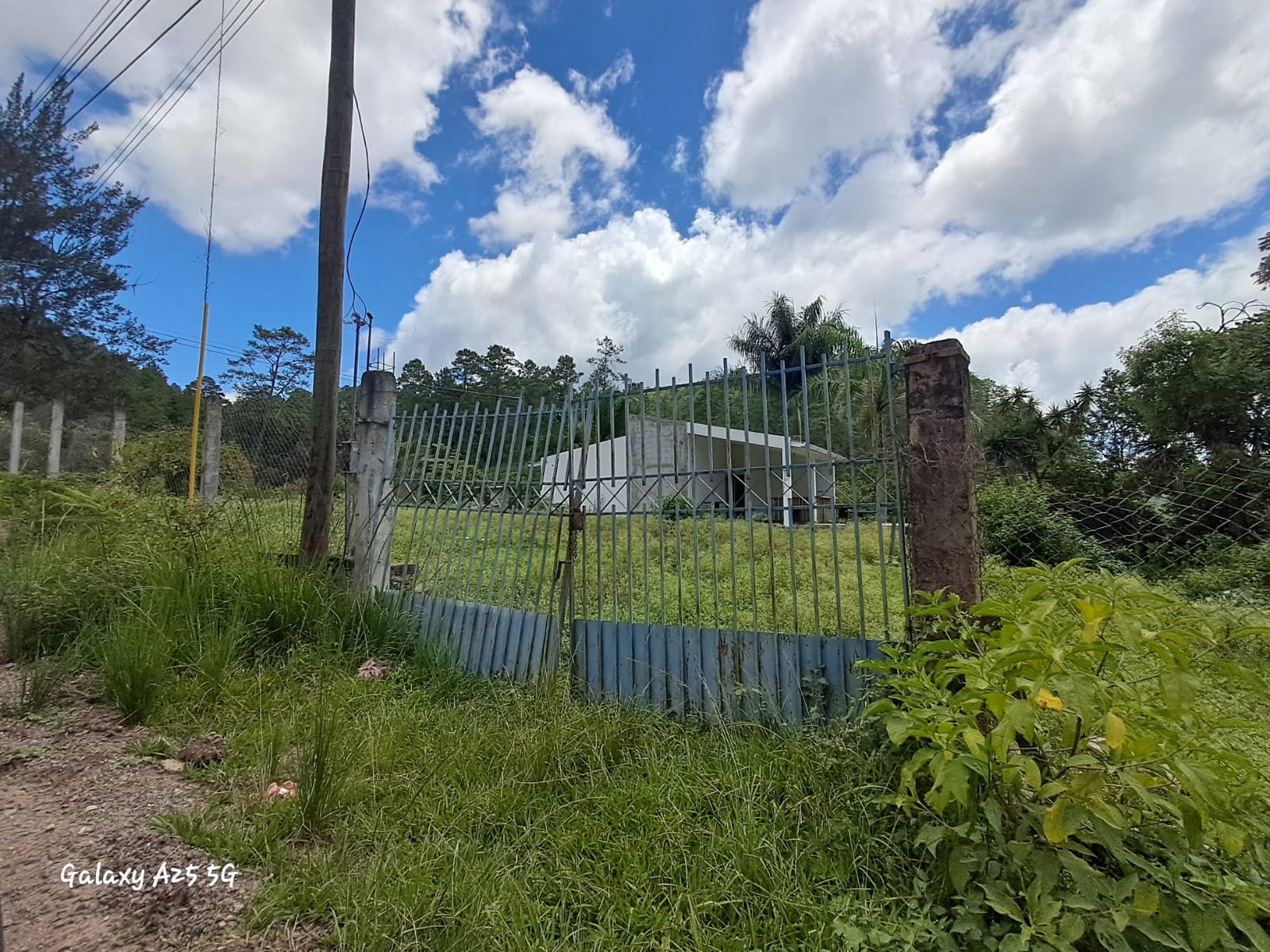 TATUMBLA, FRANCISCO MORAZÁN