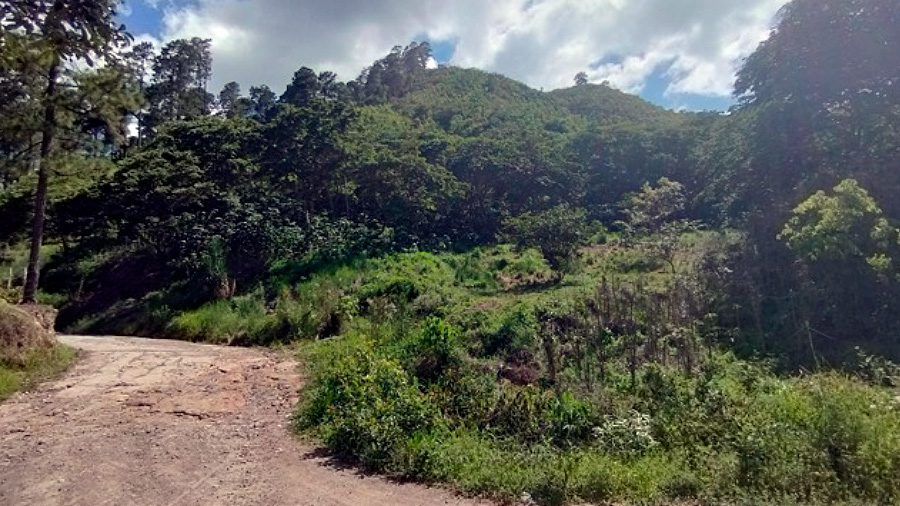 COMAYAGUA, COMAYAGUA